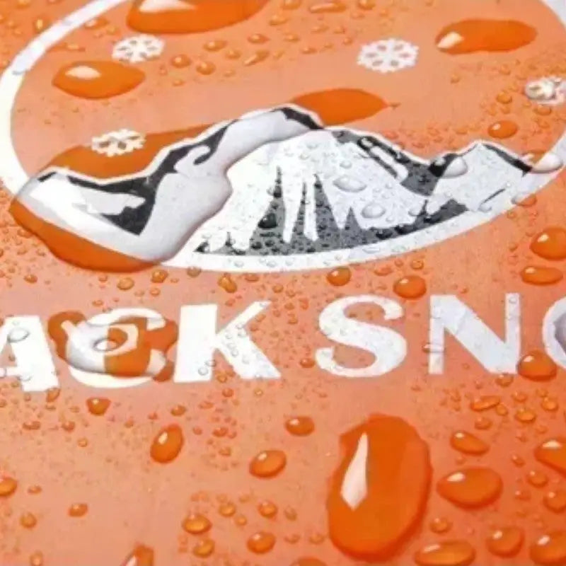 4 Season Mummy Sleeping Bag