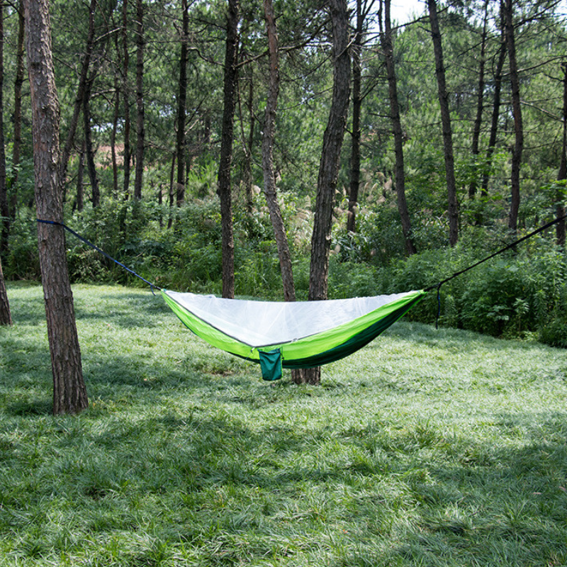 Hammock with mosquito net tent