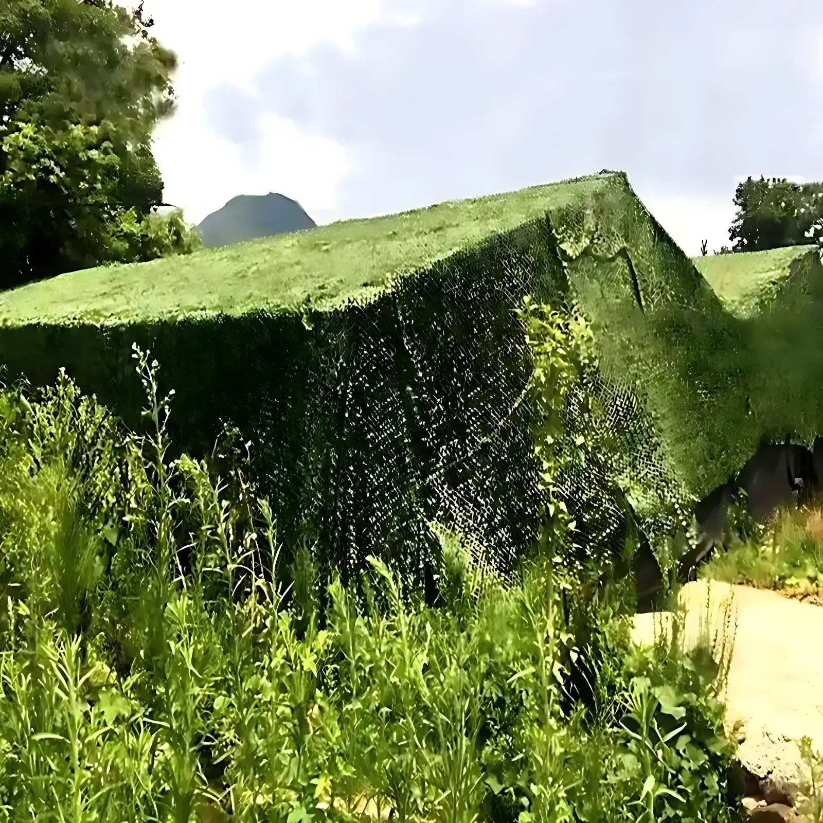 Large Camouflage Net